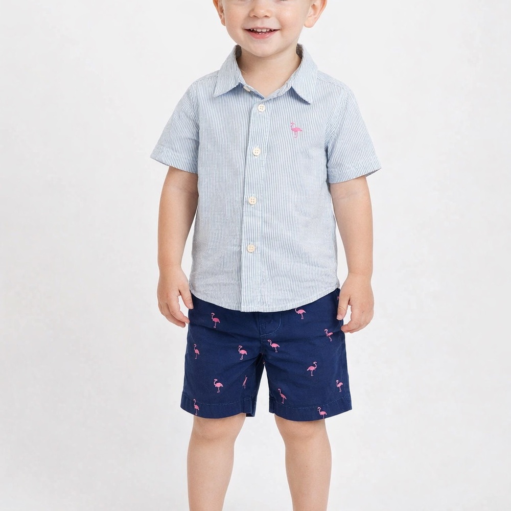✅ Carter’s 2T Flamingo Shirt & Shorts Set – NWT